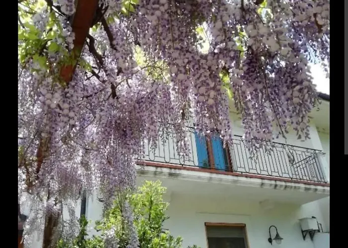 Domus Pacis * 산 조반니 로톤도